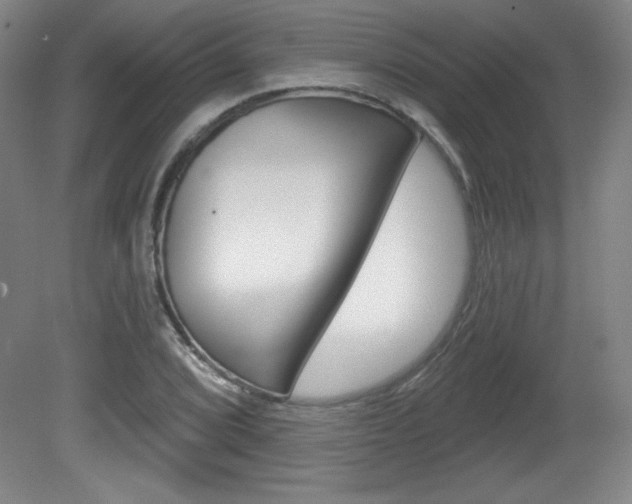 X0000081601072200701151048