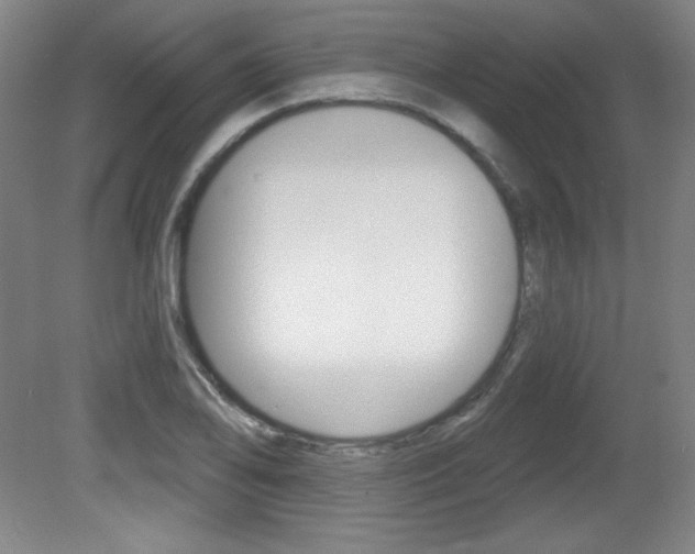 X0000081601078200701151047
