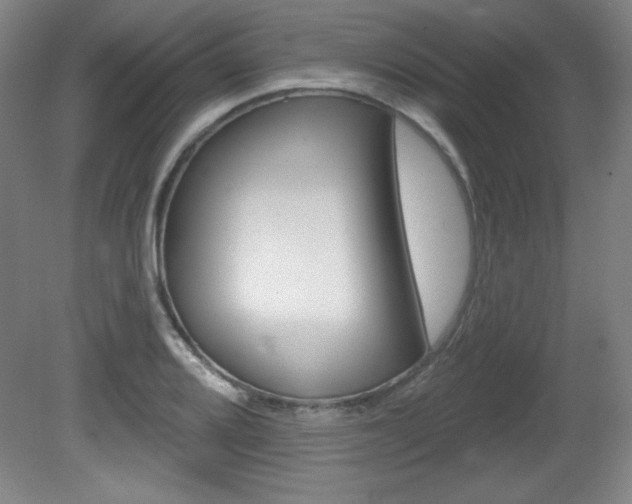X0000081601080200701151047