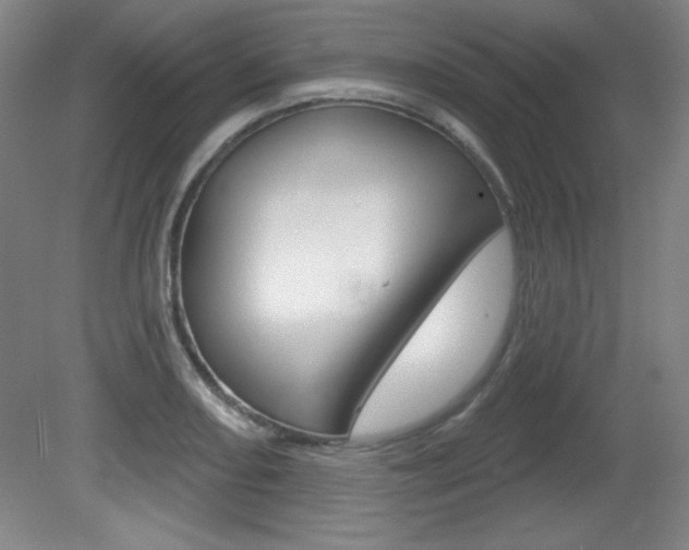 X0000081601082200701151047