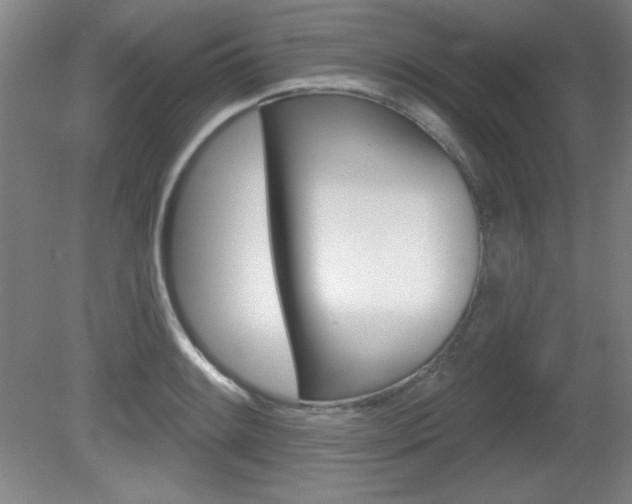 X0000081601084200701151047