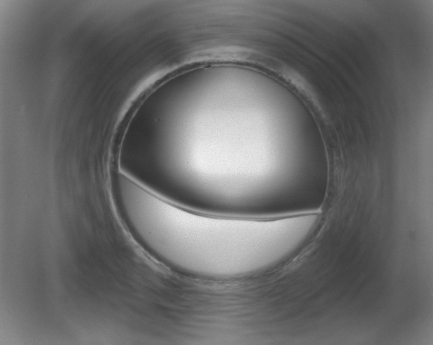 X0000081601085200701151047
