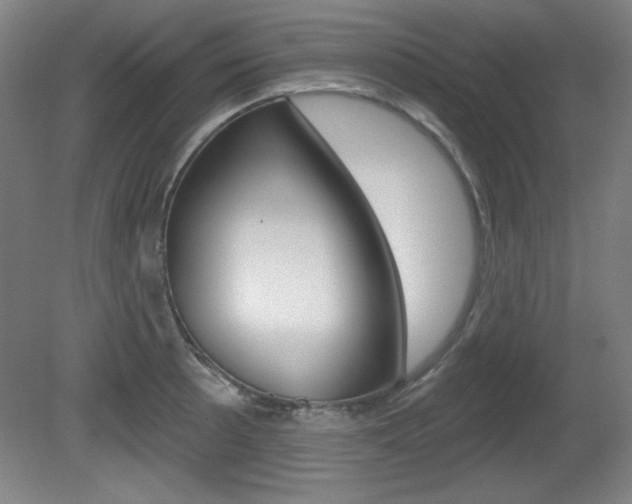 X0000081601089200701151047