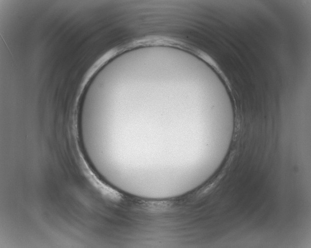 X0000081601090200701151047