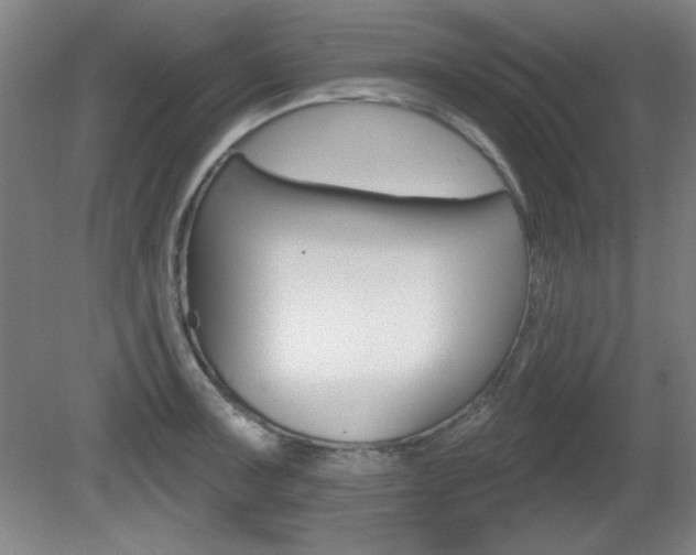 X0000081601091200701151047