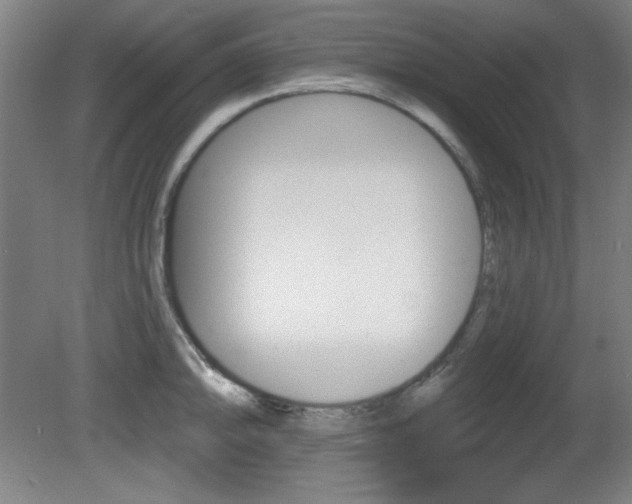 X0000081601094200701151047
