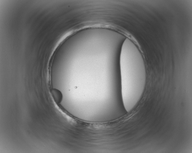 X0000081601095200701151047