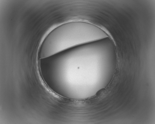 X0000081601096200701151047