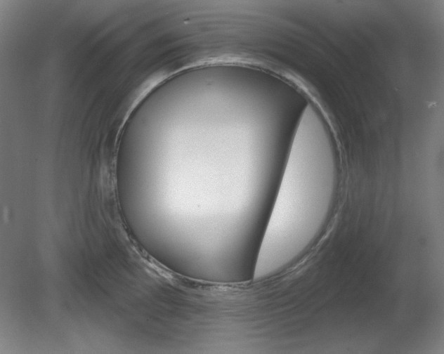X0000081601097200701151047