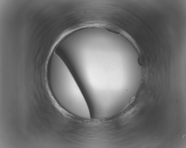 X0000081601099200701151047
