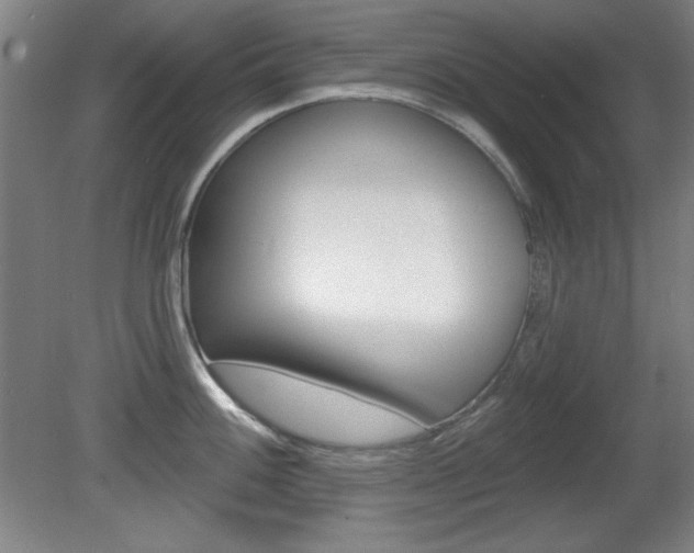 X0000081601100200701151047
