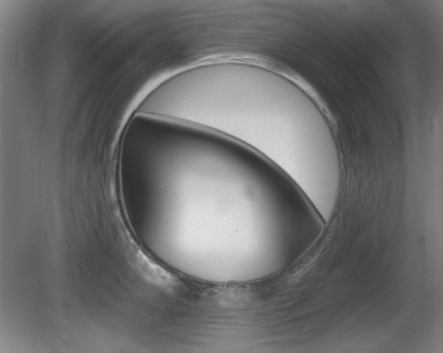 X0000081601102200701151047