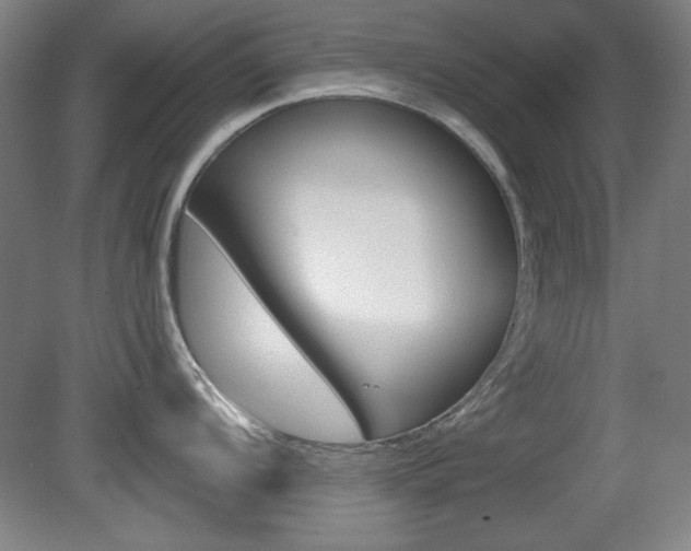 X0000081601104200701151047