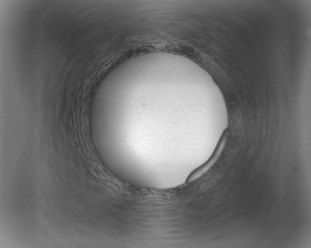 X0000081601105200701151046