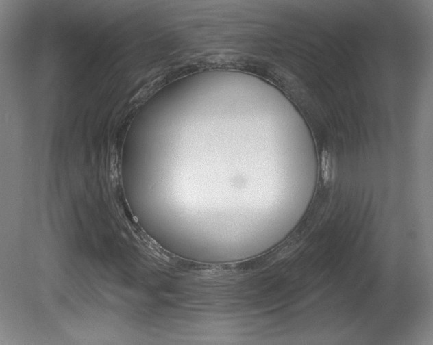 X0000081601107200701151046