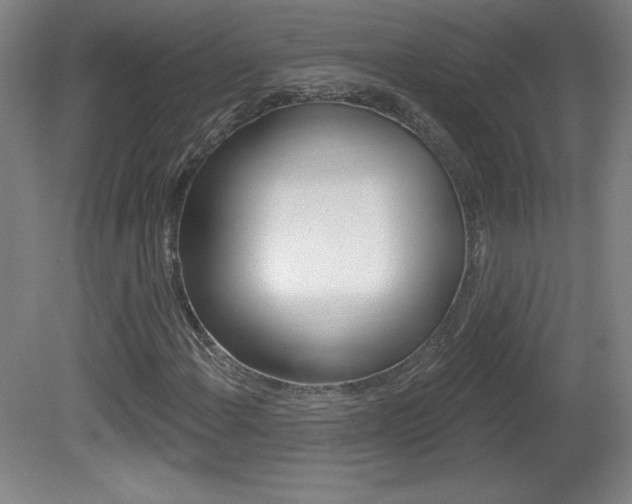 X0000081601108200701151046