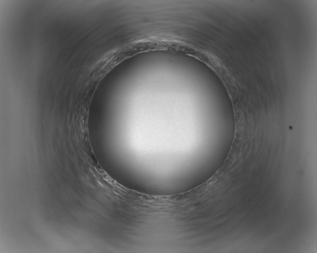X0000081601110200701151046