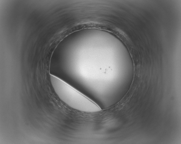 X0000081601111200701151046
