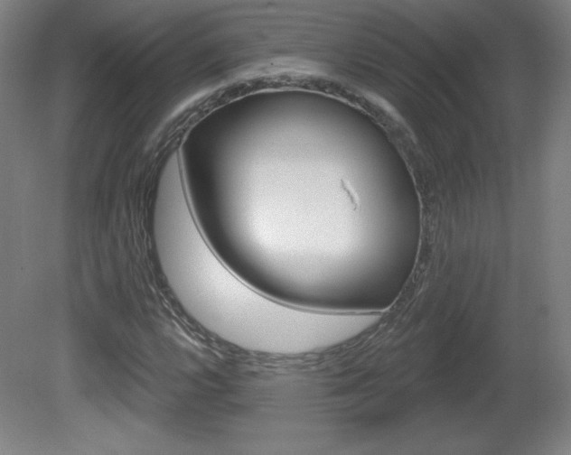 X0000081601112200701151046