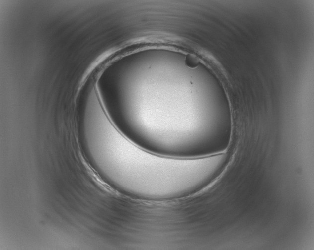 X0000081601114200701151046