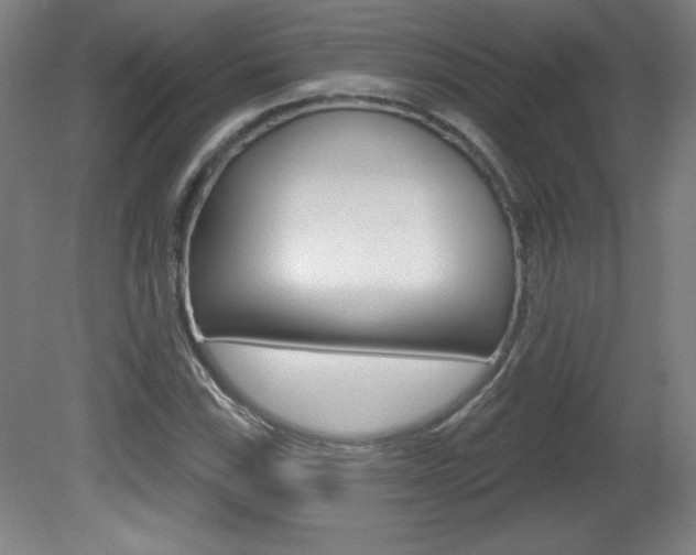 X0000081601115200701151046