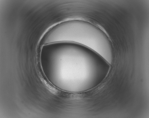 X0000081601116200701151046