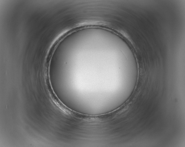X0000081601119200701151046
