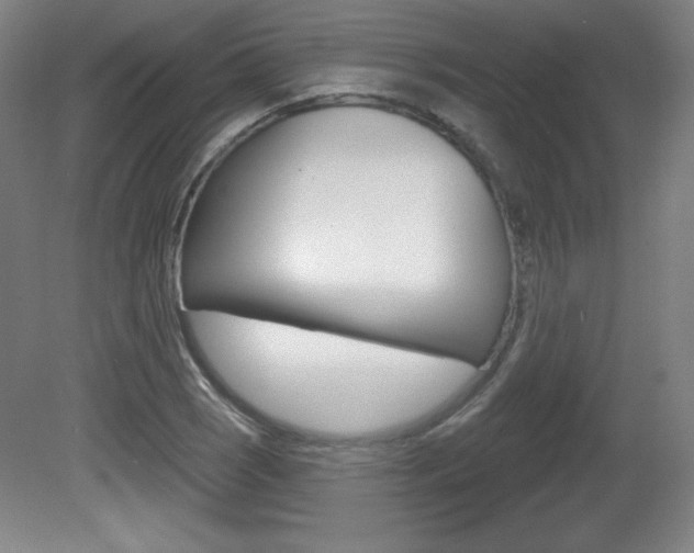 X0000081601121200701151046