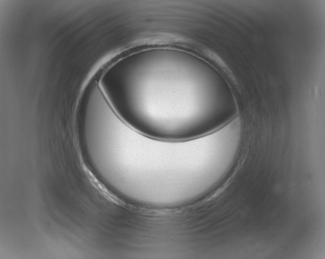 X0000081601122200701151047