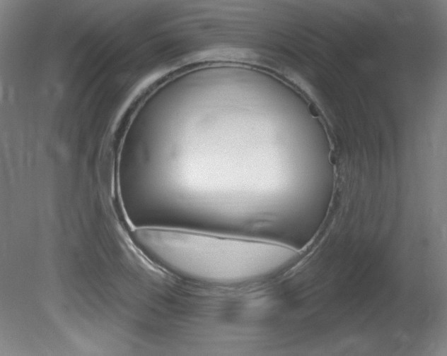 X0000081601123200701151047