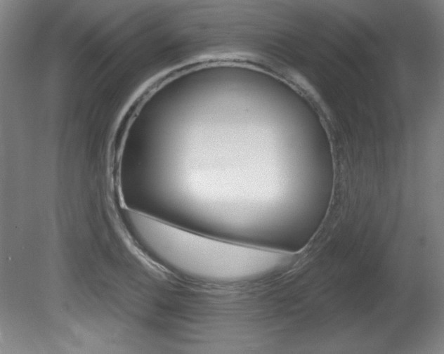 X0000081601124200701151047