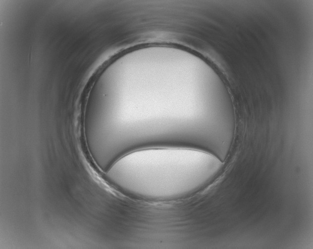 X0000081601126200701151047