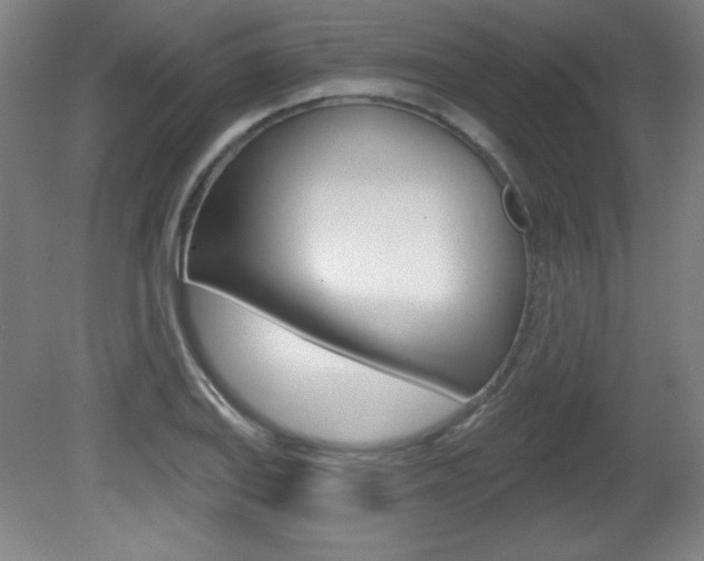 X0000081601127200701151047