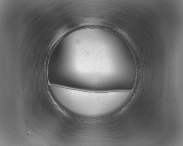 X0000081601129200701151047