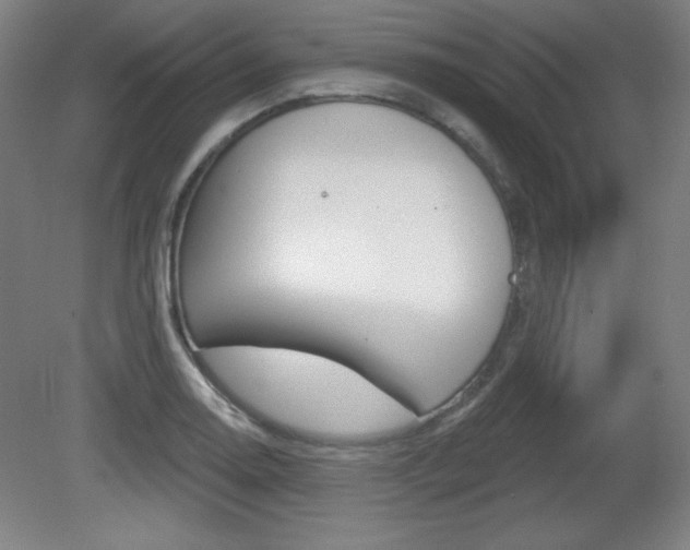 X0000081601130200701151047