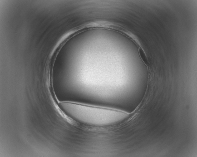 X0000081601131200701151047