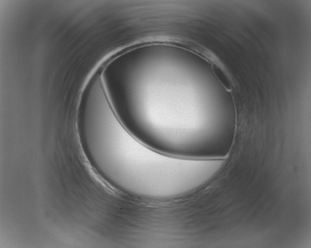 X0000081601132200701151047