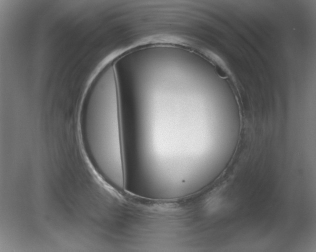 X0000081601133200701151047