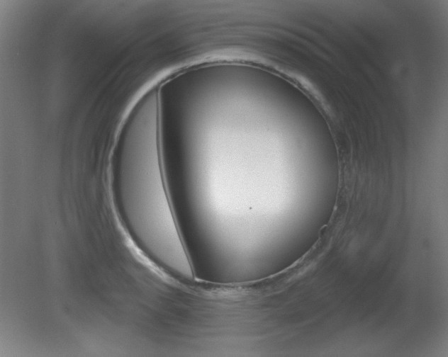 X0000081601134200701151047