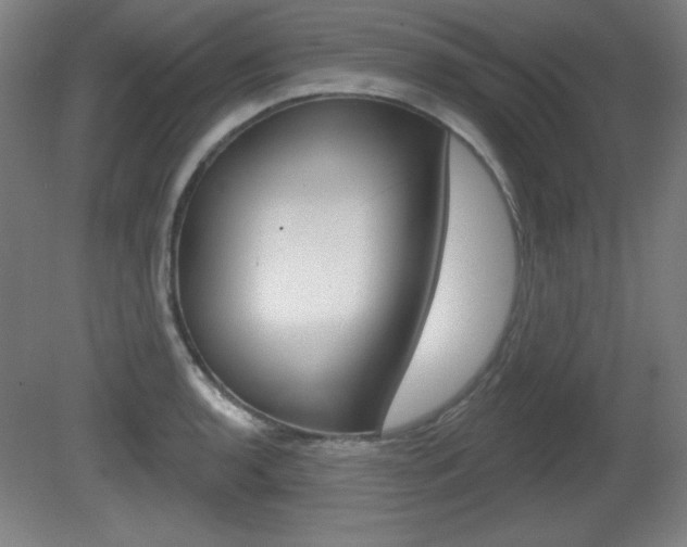 X0000081601136200701151047