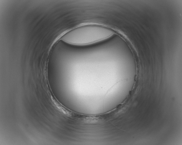 X0000081601137200701151047