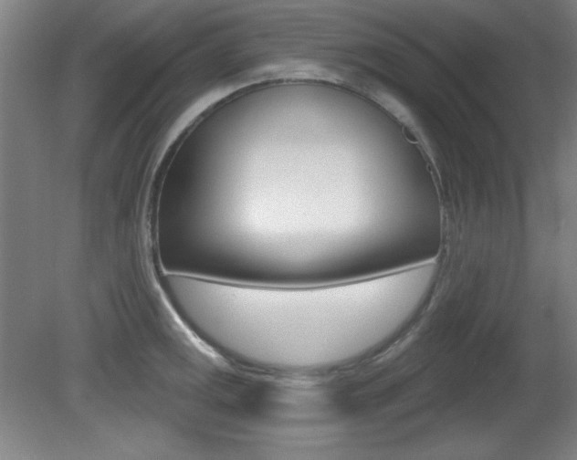 X0000081601141200701151047