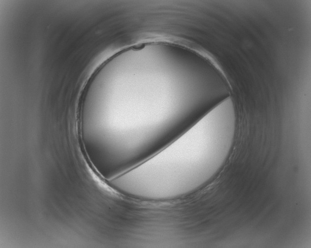 X0000081601143200701151047