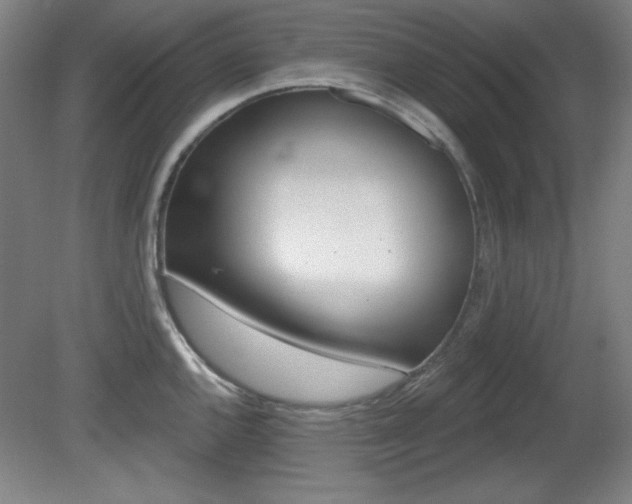 X0000081601144200701151047