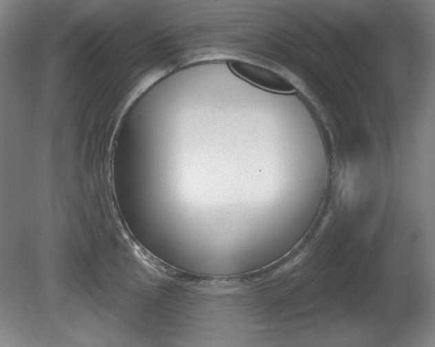 X0000081601145200701151047