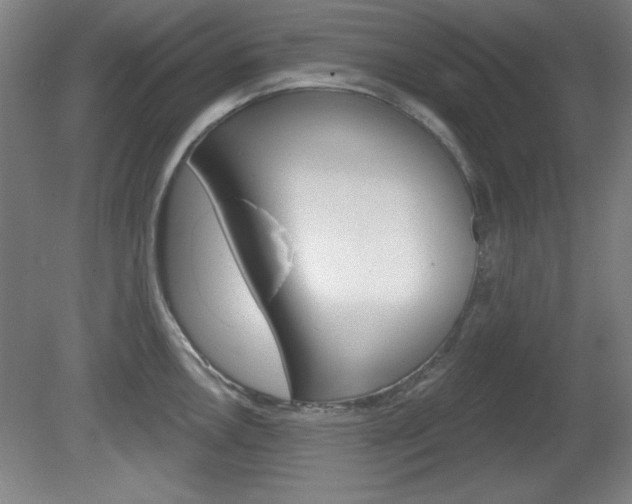 X0000081601146200701151047