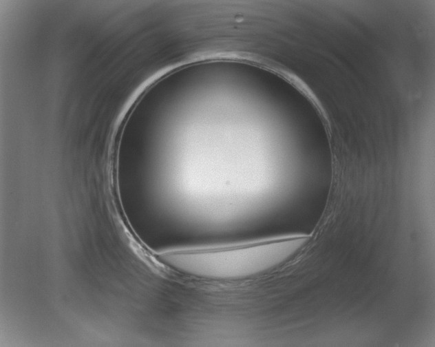 X0000081601148200701151047