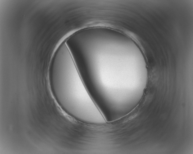 X0000081601149200701151047