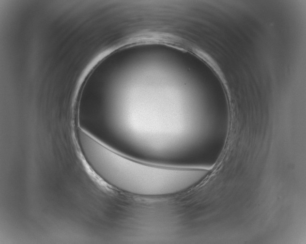 X0000081601152200701151047