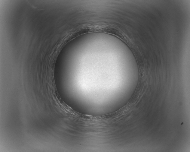 X0000081601153200701151046